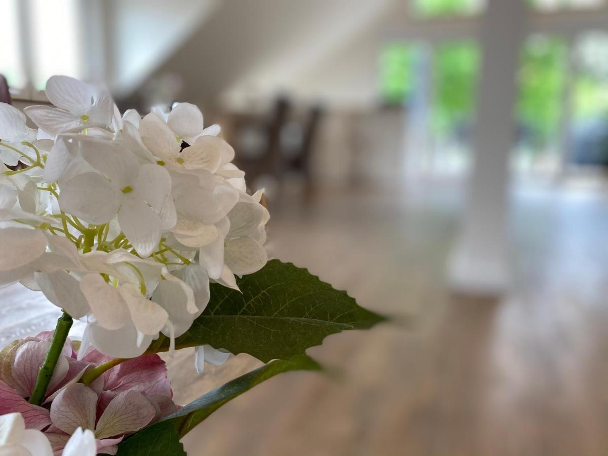 Ferienwohnung Koehler Bispingen Buitenkant foto